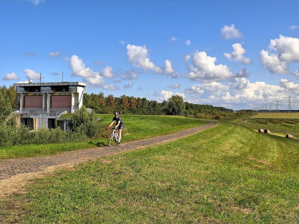Een fietser op een pad door de Oostvaardersplassen bij Lelystad