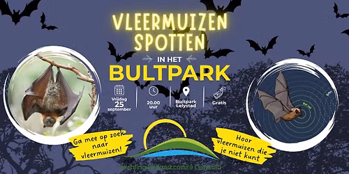 Vleermuizen spotten in het Bultpark — Natuur in Lelystad